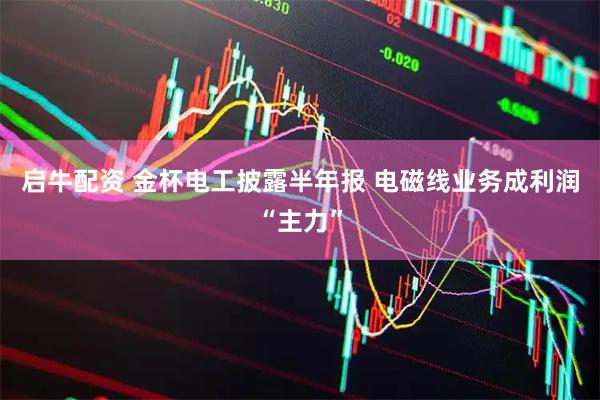 启牛配资 金杯电工披露半年报 电磁线业务成利润“主力”