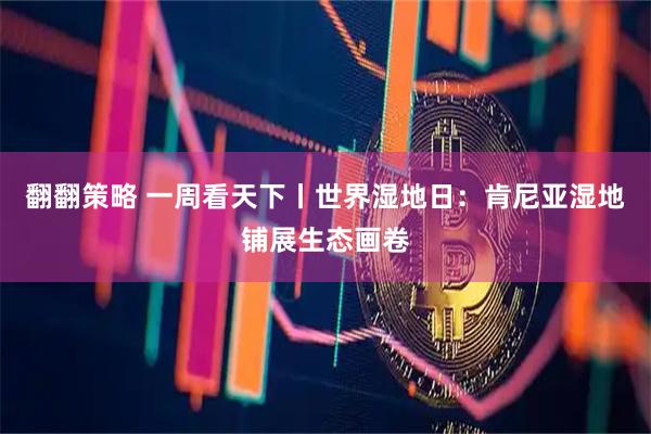 翻翻策略 一周看天下丨世界湿地日：肯尼亚湿地铺展生态画卷